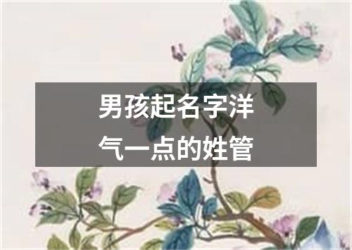 男孩起名字洋气一点的姓管