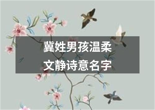 冀姓男孩温柔文静诗意名字