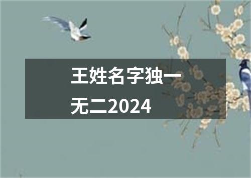 王姓名字独一无二2024