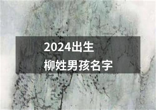 2024出生柳姓男孩名字