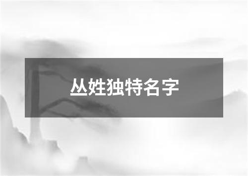 丛姓独特名字