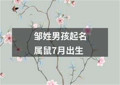 邹姓男孩起名属鼠7月出生