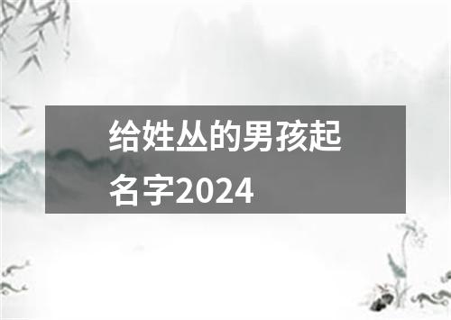 给姓丛的男孩起名字2024