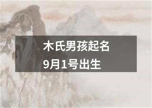 木氏男孩起名9月1号出生