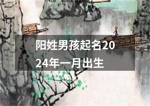 阳姓男孩起名2024年一月出生