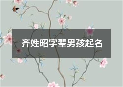 齐姓昭字辈男孩起名