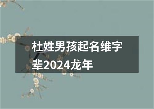 杜姓男孩起名维字辈2024龙年