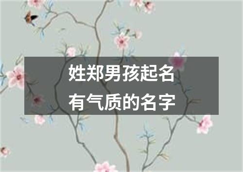 姓郑男孩起名有气质的名字