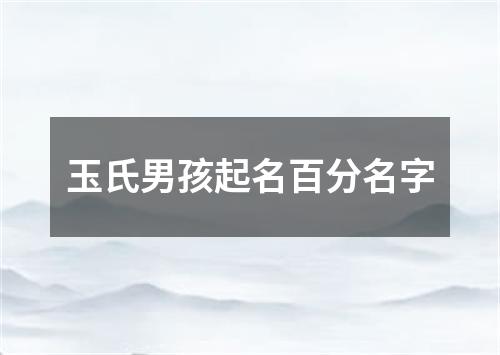 玉氏男孩起名百分名字