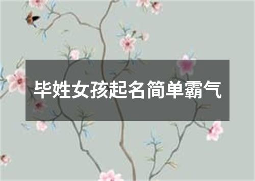 毕姓女孩起名简单霸气