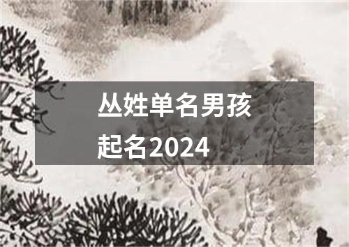 丛姓单名男孩起名2024