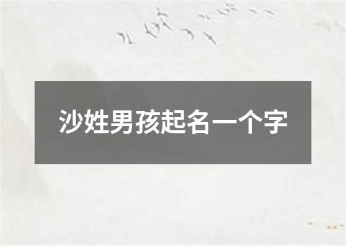 沙姓男孩起名一个字