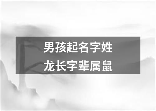 男孩起名字姓龙长字辈属鼠