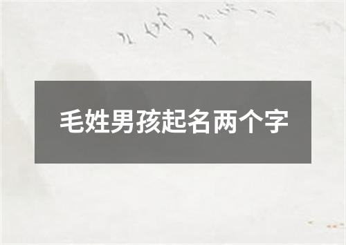 毛姓男孩起名两个字