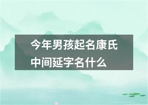 今年男孩起名康氏中间延字名什么