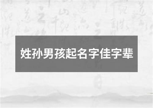 姓孙男孩起名字佳字辈