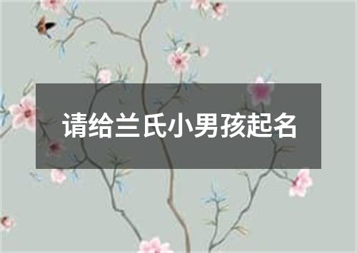 请给兰氏小男孩起名