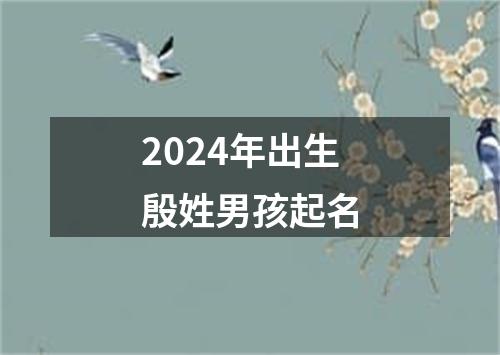 2024年出生殷姓男孩起名