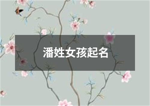 潘姓女孩起名