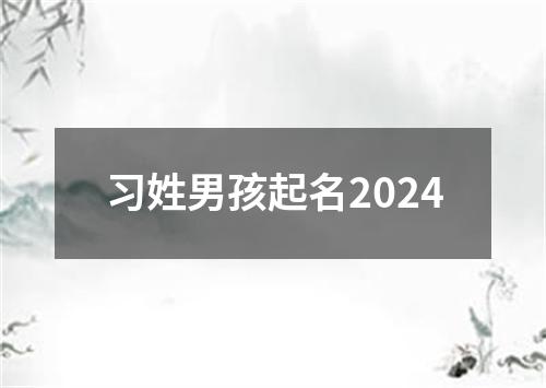 习姓男孩起名2024