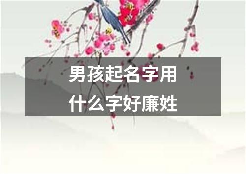 男孩起名字用什么字好廉姓