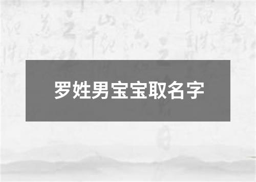 罗姓男宝宝取名字