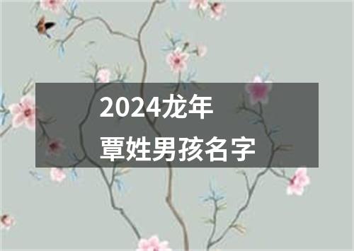 2024龙年覃姓男孩名字