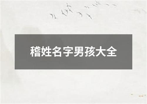 稽姓名字男孩大全