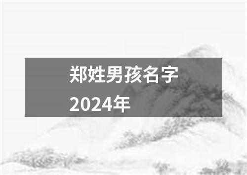 郑姓男孩名字2024年