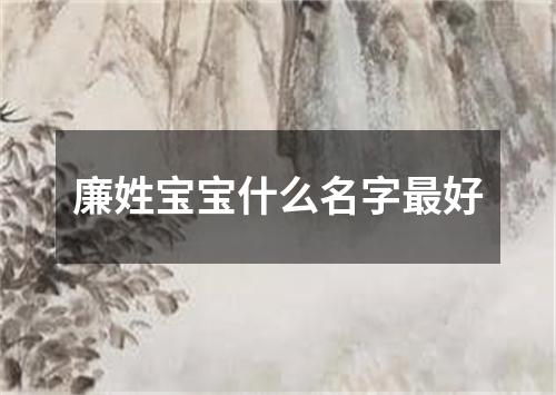 廉姓宝宝什么名字最好