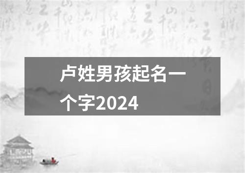 卢姓男孩起名一个字2024