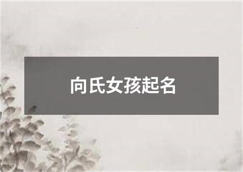 向氏女孩起名