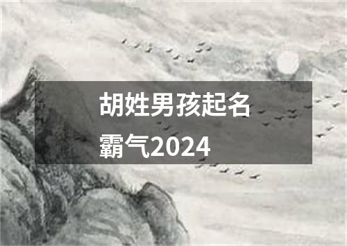 胡姓男孩起名霸气2024