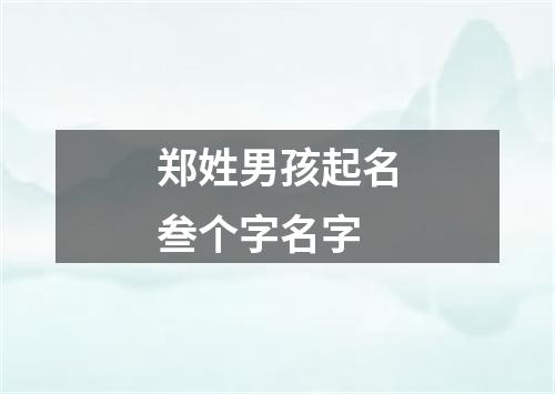 郑姓男孩起名叁个字名字