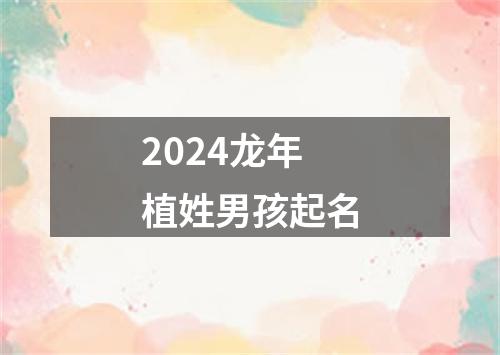 2024龙年植姓男孩起名