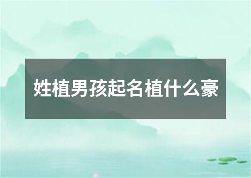 姓植男孩起名植什么豪