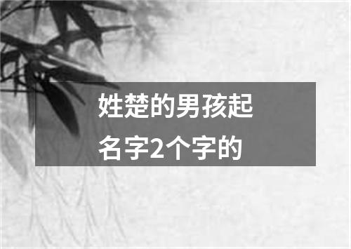 姓楚的男孩起名字2个字的