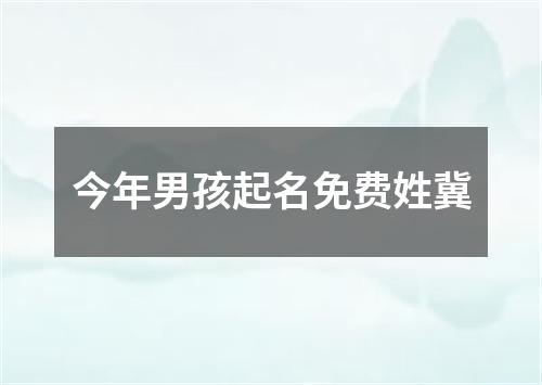 今年男孩起名免费姓冀