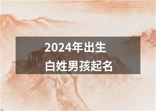 2024年出生白姓男孩起名