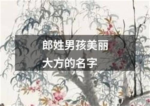 郎姓男孩美丽大方的名字