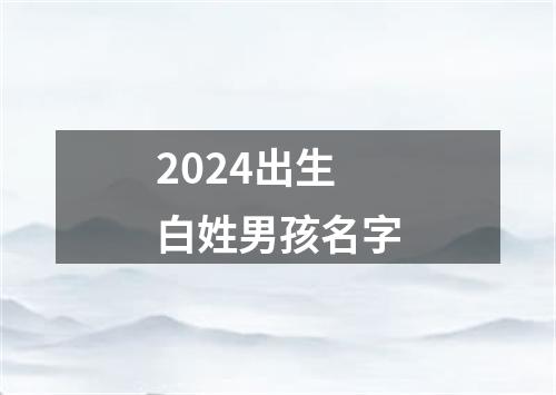 2024出生白姓男孩名字