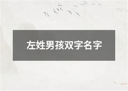 左姓男孩双字名字