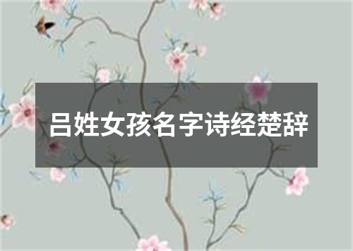 吕姓女孩名字诗经楚辞