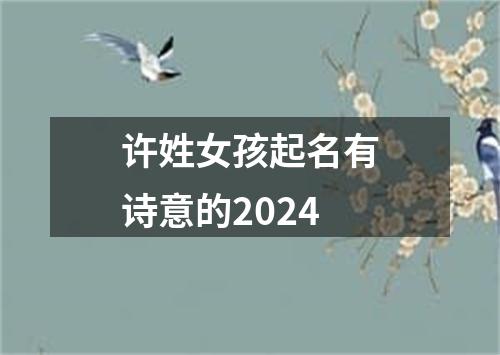 许姓女孩起名有诗意的2024