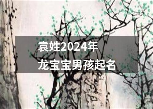 袁姓2024年龙宝宝男孩起名