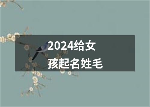 2024给女孩起名姓毛