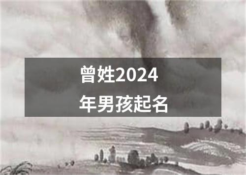 曾姓2024年男孩起名