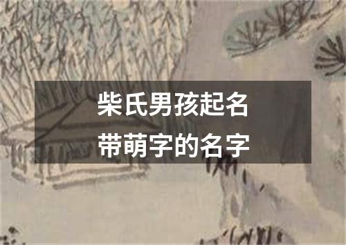 柴氏男孩起名带萌字的名字