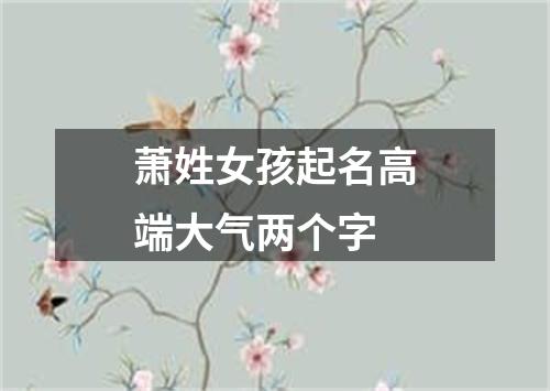 萧姓女孩起名高端大气两个字