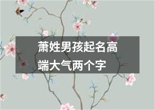 萧姓男孩起名高端大气两个字